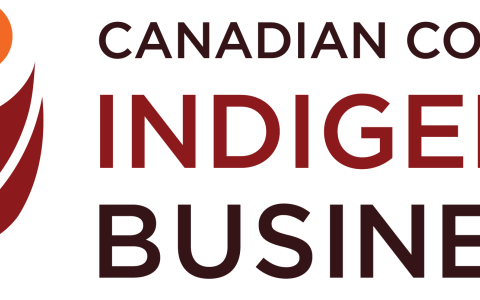 CCIB logo H colour 1